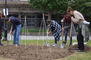 Butley Court Community Orchard launch event